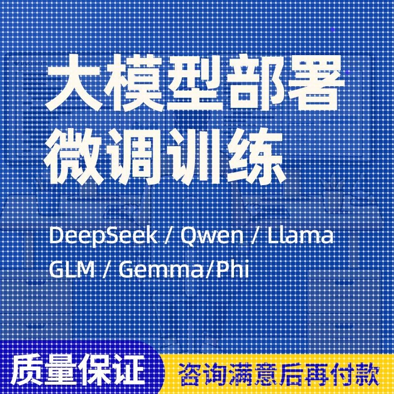 大模型微调训练python代编程Llama2环境配置代码代跑深度学习指导