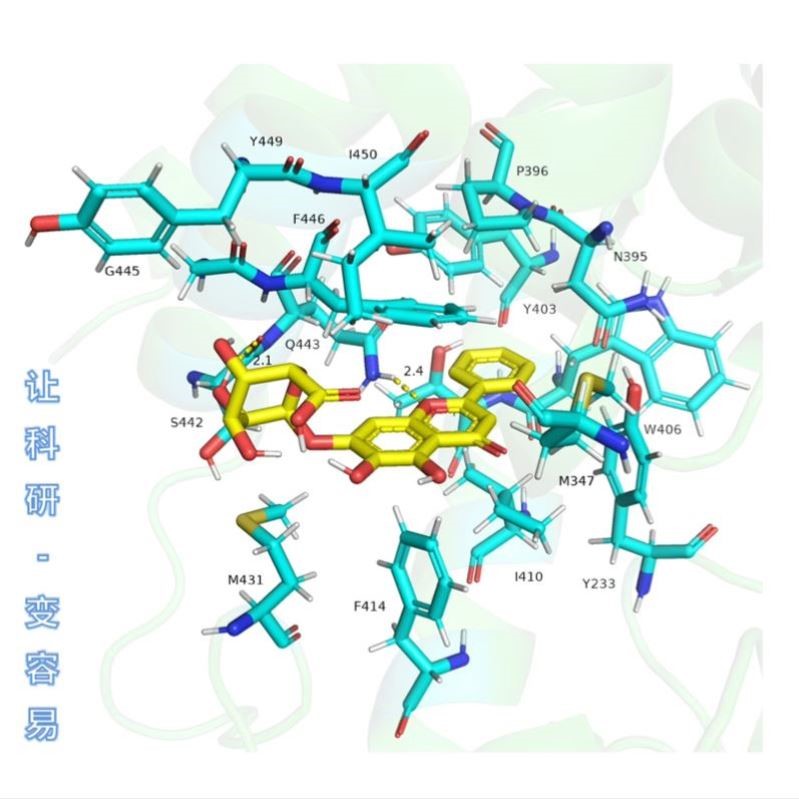 第一性原理vasp代算dft计算cp2k代算高斯计算MS分子动力学密度泛