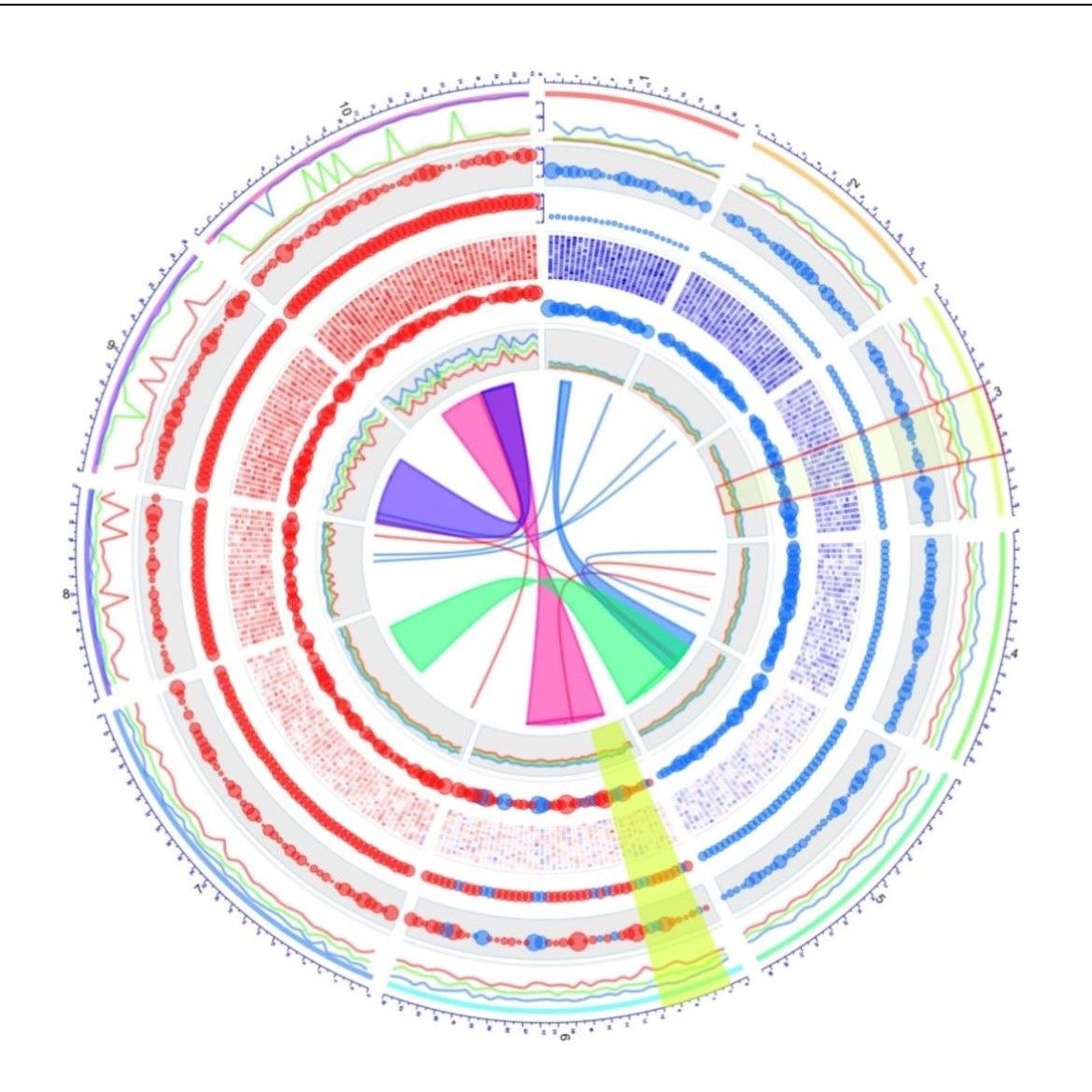 生信数据单细胞 TCGA GEO 生信图咨询服务