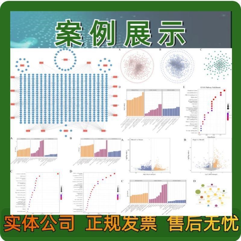 生信分析定制服务2-9分TCGAGEO数据库挖掘差异基因富集单细胞测序