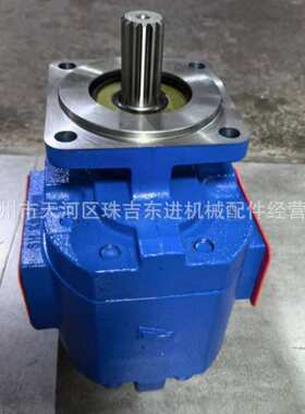徐工LW900KN 803006862装载机齿轮泵