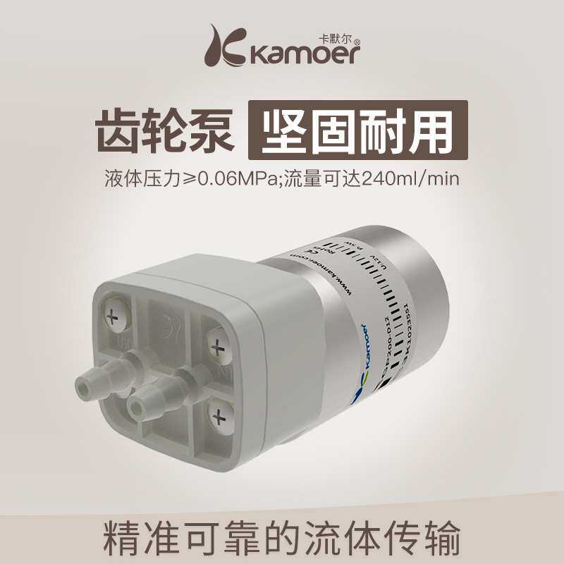 kt卡默尔微型齿轮泵 12V直流塑料迷你电动小型抽水泵高压水泵循环