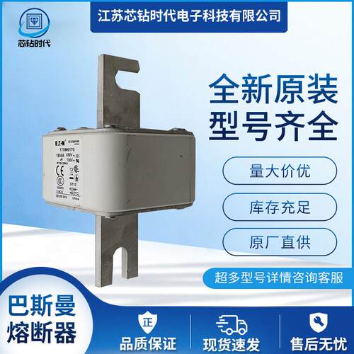 170M6161 170M6162 170M6163 巴斯曼BUSSMANN熔断器保险丝