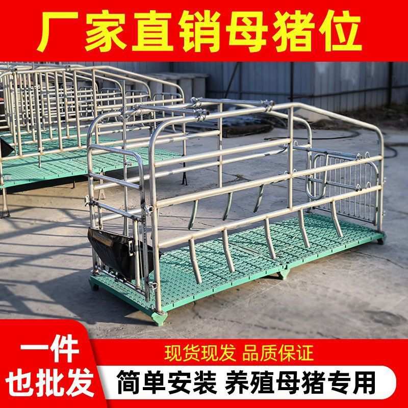 落地式新款加厚镀锌养殖场专用母猪产保产床单体母猪位定位栏厂家