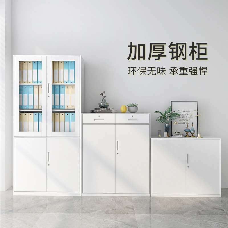 窄边办公室纯白文件柜财务资料器械柜薄边办公铁皮柜子钢制储物柜