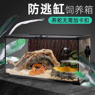 爬宠玉米蛇饲养箱守宫蜥蜴角蛙寄居蟹乌龟蛇虫玻璃雨林缸全透生态