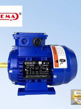 FEMA三相电机RMS7134IP55F级绝缘B级温升S1工作制1E1标准耐用