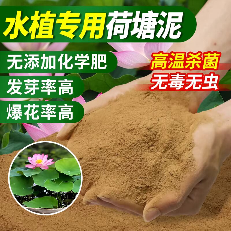 荷花泥荷塘泥天然碗莲睡莲专用泥铜钱草水生植物淤泥河泥营养泥土