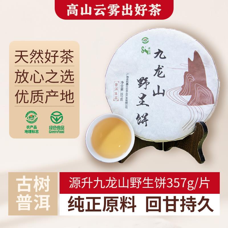 普洱茶生茶云南特产普洱茶七子饼源升九龙山野生古树357g生茶茶叶