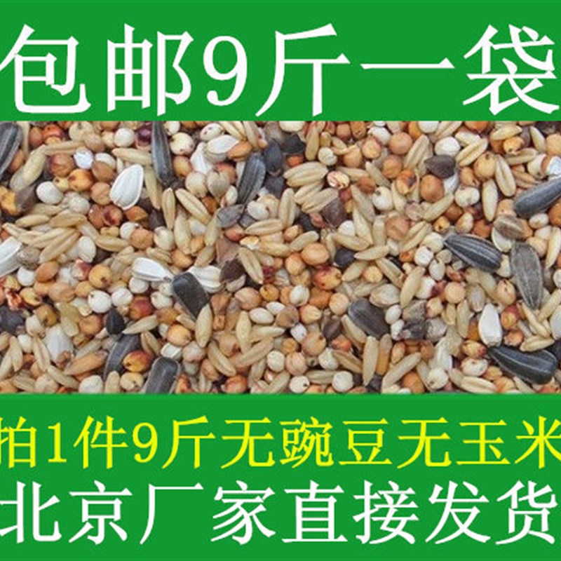 鸽粮 无玉米幼鸽饲料 9斤装无豌豆鸟食信鸽观赏鸽肉鸽粮包邮