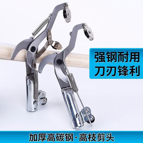 果树加长高枝剪伸缩高空修枝剪剪树枝修剪刀园林果树剪刀摘果工具