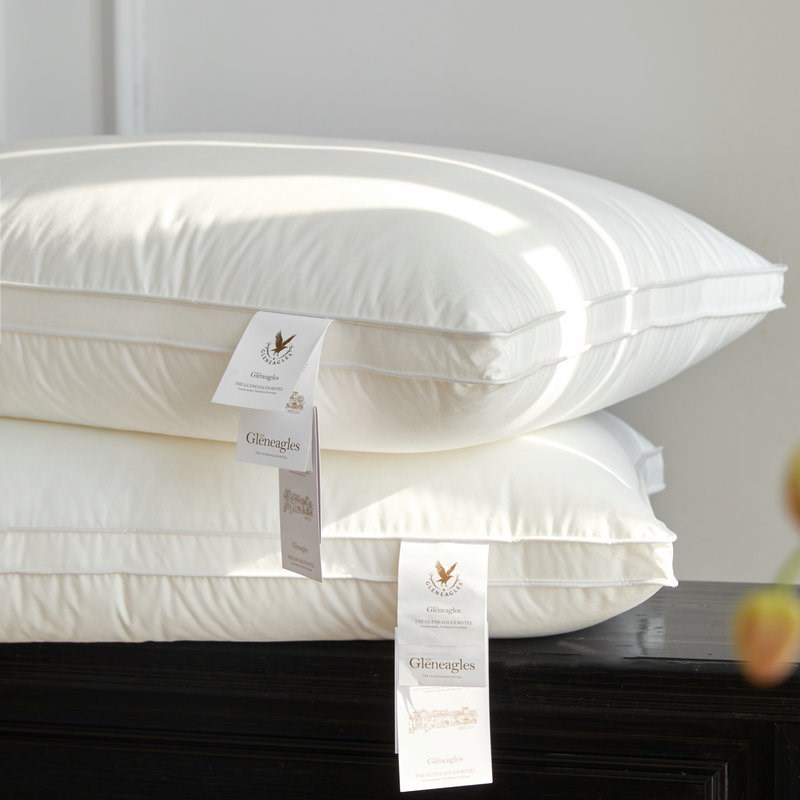格伦伊格尔斯酒店总统枕头枕芯全棉护颈单人成人家用舒适白鹅绒枕
