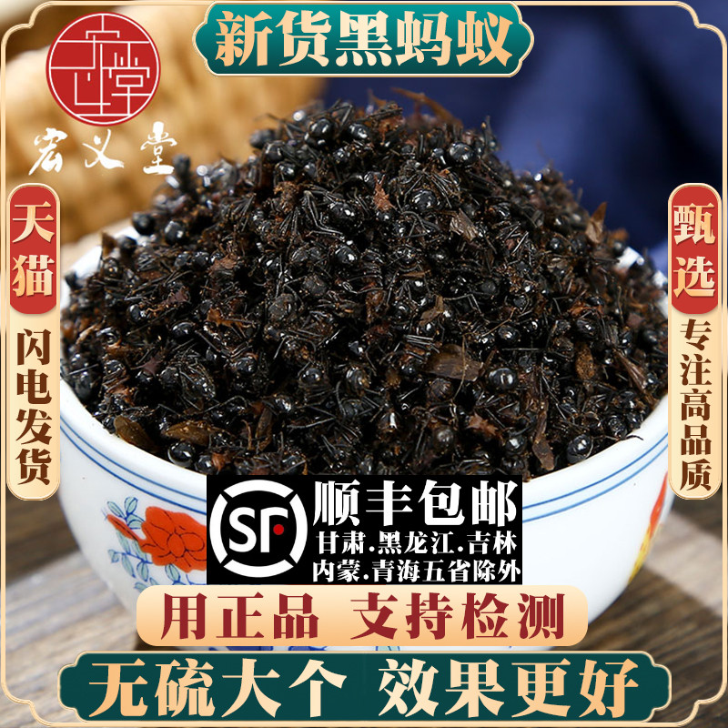 蚂蚁材黑蚂蚁500g250g100g克野生大黑蚂蚁干可泡酒长白山山蚁