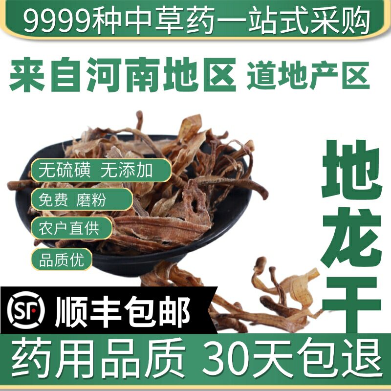 材特级野生地龙50g干地龙片全开无土地龙整条蚯蚓广地龙粉
