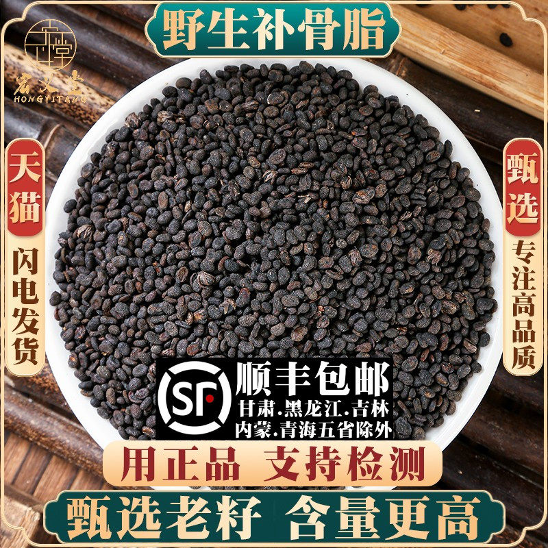 野生补骨脂材500克 补骨脂破故纸婆黑故子补骨脂粉