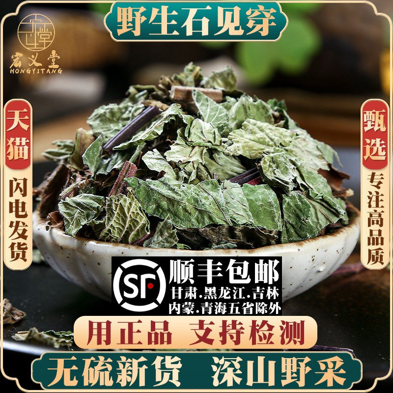 野生石见穿材500克石见穿石见川石大川五凤花新货中草药无硫