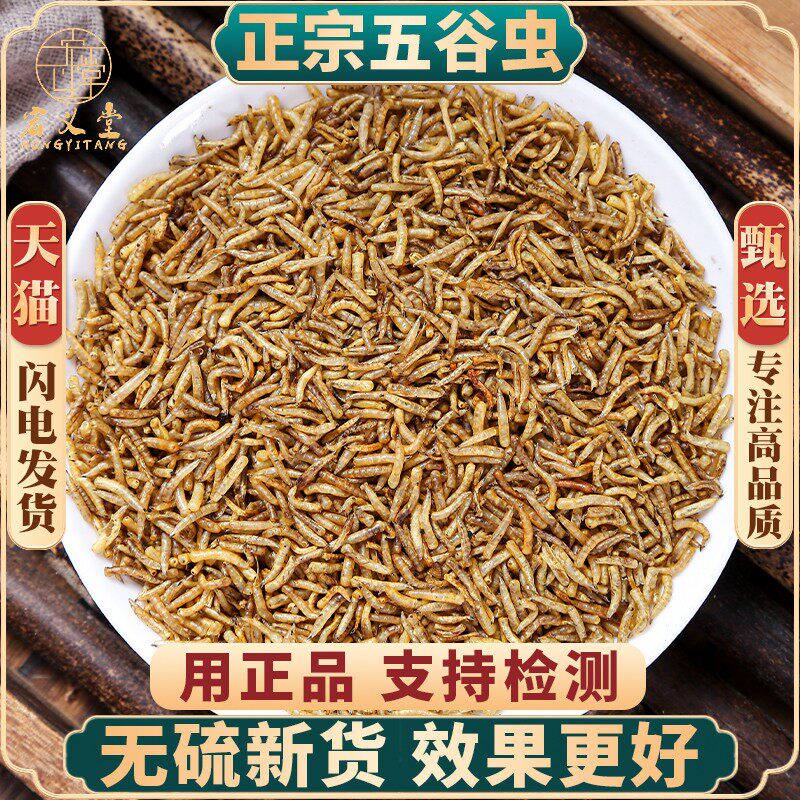 五谷虫干五谷虫材黄金五谷虫五谷杂粮生虫水仙子五谷虫粉500g