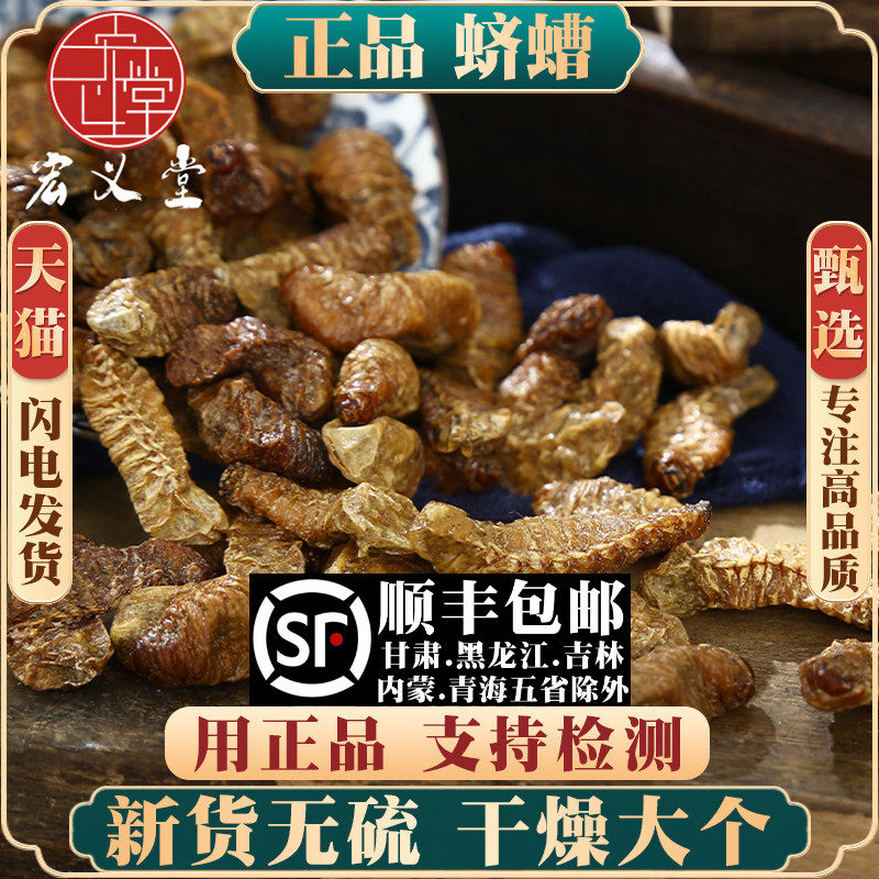 蛴螬材500g250g100g粪虫地蚕核桃虫应条乳齐老母虫新货无异味