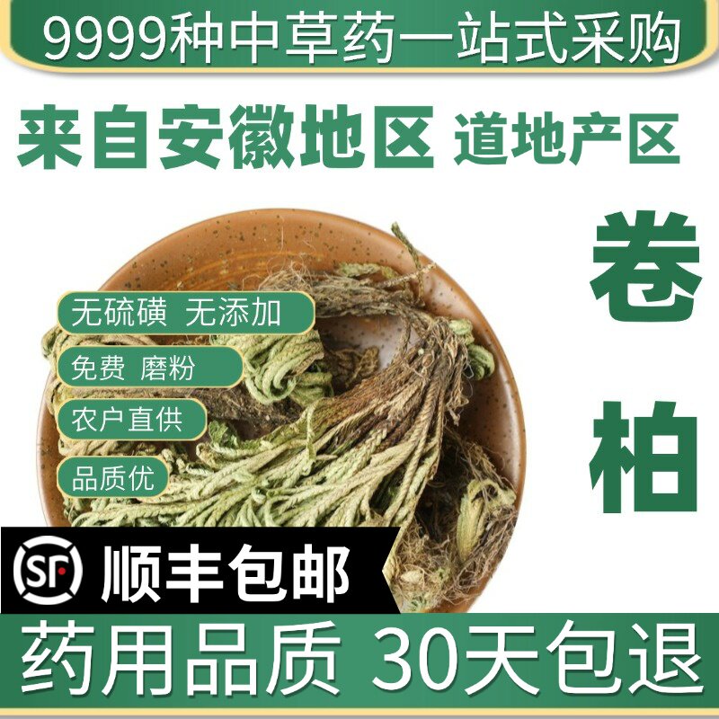 特级野生卷柏50g克新货卷伯草九死还魂草还阳草不死草