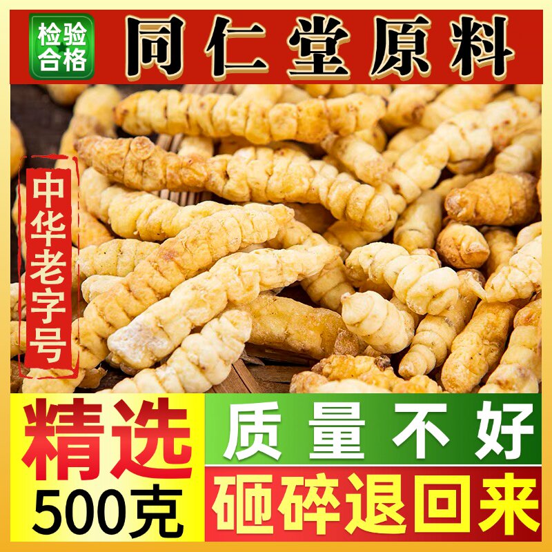 同仁堂虫草参白色虫草参条草石蚕螺丝菜白地蚕干土冬虫草干货新货