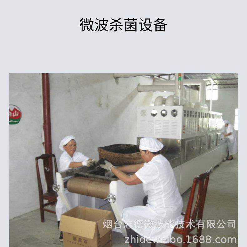 微波腊肉烘干设备 肉制品脱脂微波机 牛肉干微波烘干灭菌机食品