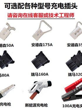 锂电池电动叉车充电机VVVV杭叉龙工支持匹配