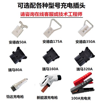 锂电池电动叉车充电机VVVV杭叉龙工支持匹配