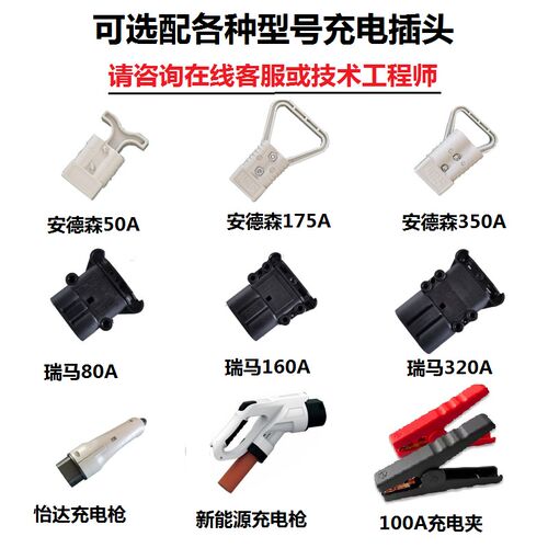 锂电池电动叉车充电机VVVV杭叉龙工支持匹配