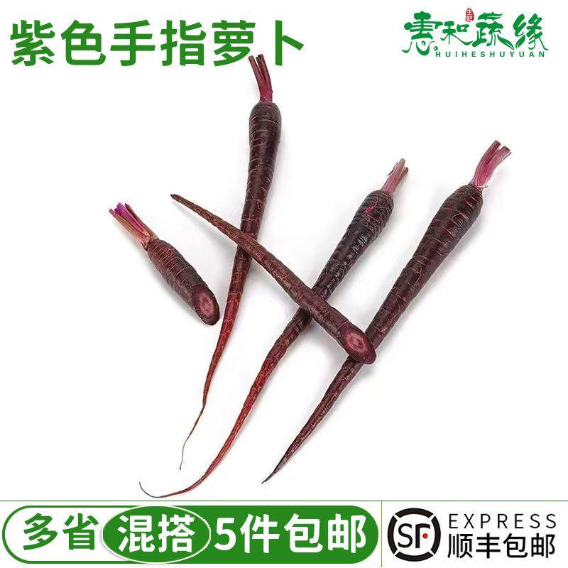 新鲜去叶紫色手指萝卜500g西餐酒店摆盘装饰点缀紫色黑色胡萝卜