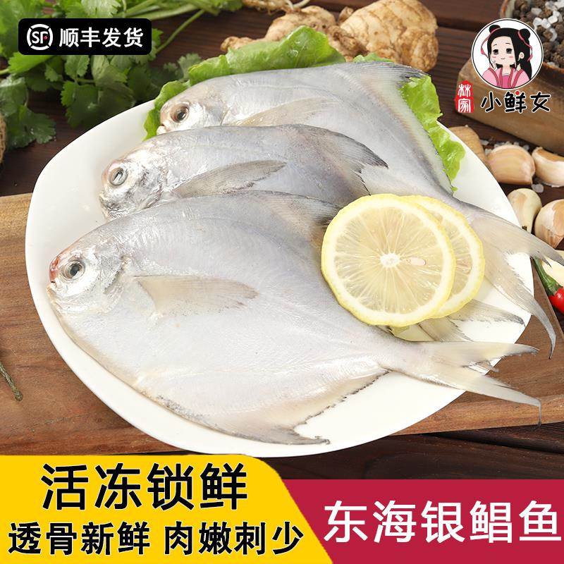 新鲜银鲳鱼海捕冷冻白鲳鱼新鲜水产平鱼昌海鱼扁鱼海鲜水产