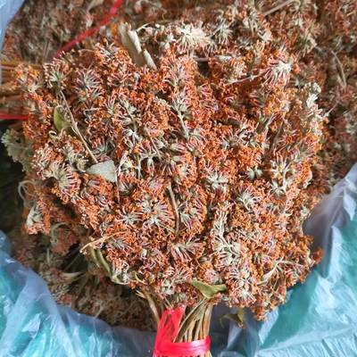 云南德宏特产染饭花五色糯米饭黄饭花天然色素密蒙花100克包邮