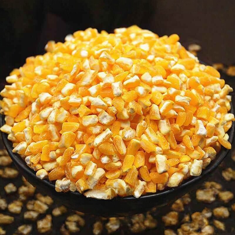 河南笨玉米碴子玉米仁大碴子粥新鲜苞米粗颗粒饱满苞谷中粒包谷