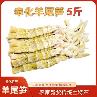 宁波特产奉化羊尾笋500g雷竹笋扁尖笋盐笋干礼盒手撕天然美味嫩笋