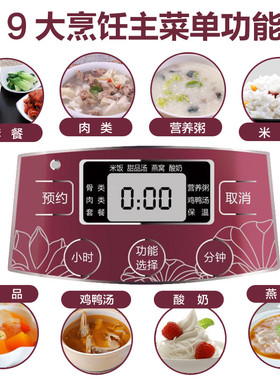 onz天际 隔水电炖锅白瓷燕窝炖盅一锅四胆煲汤全自动