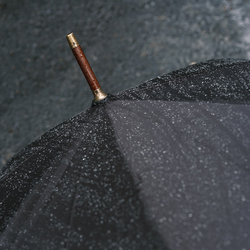 层虫師名雨伞男长伞复古风龙盘虎