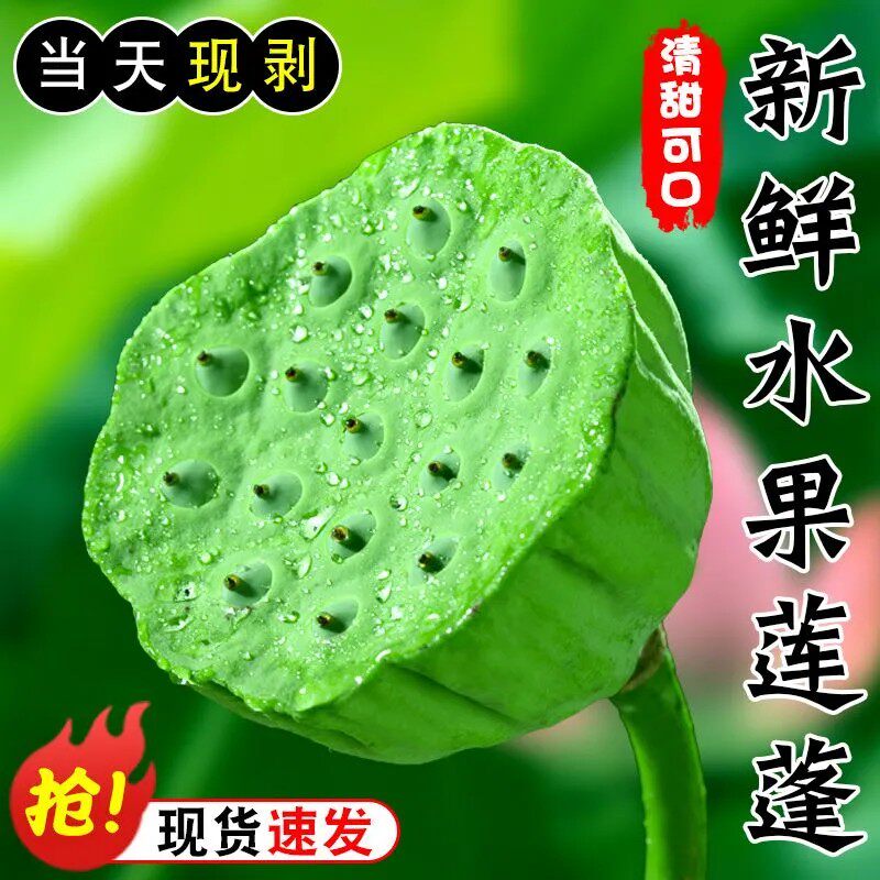 当天采摘2026年早熟莲蓬新鲜水果莲子太空莲蓬嫩莲子鲜甜当季水果