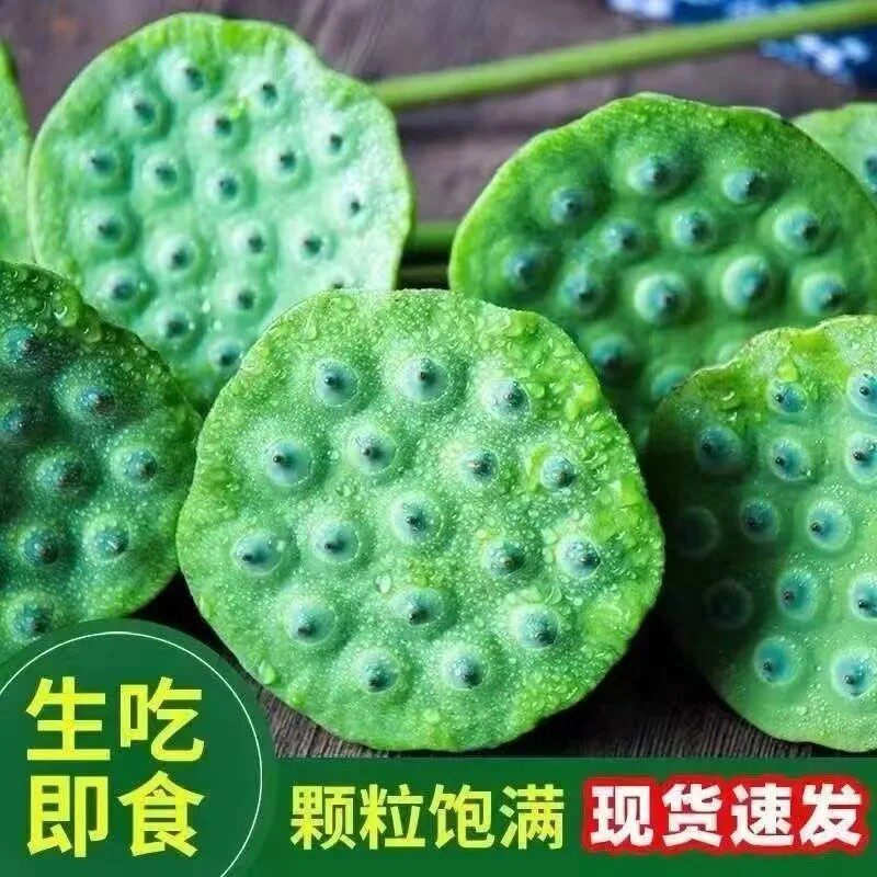 当天采摘太空莲蓬新鲜现摘生吃莲子嫩莲蓬当季水果蔬菜即食莲子