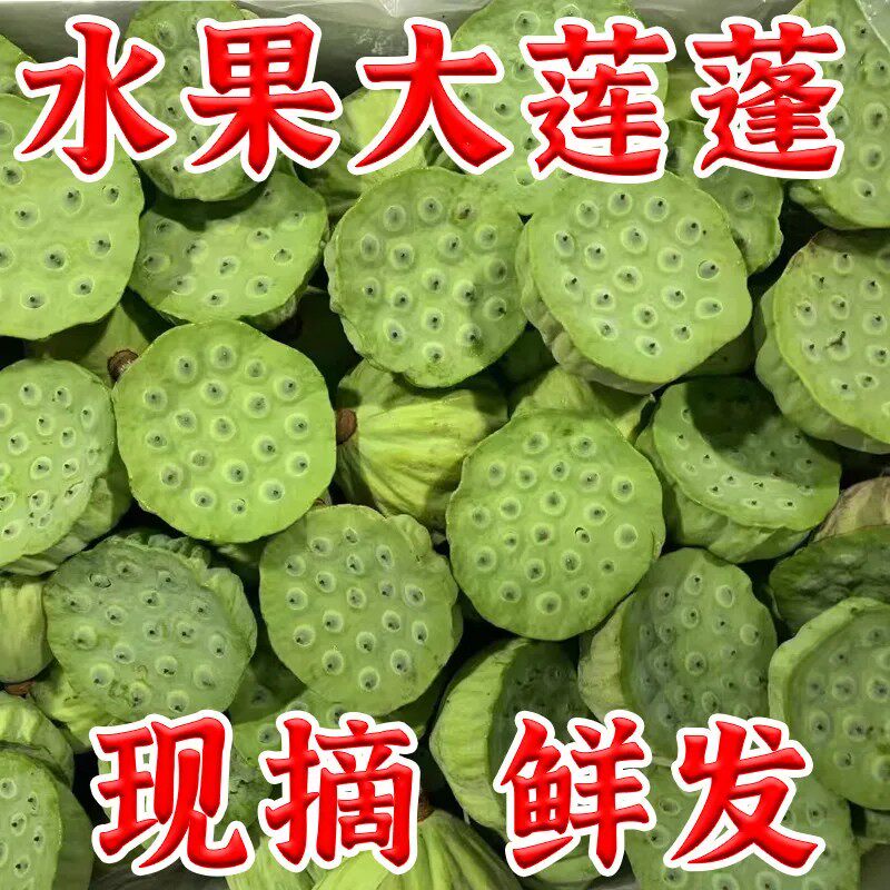 现摘【现货】早熟莲蓬新鲜水果莲子太空莲蓬嫩莲子鲜甜当季水果