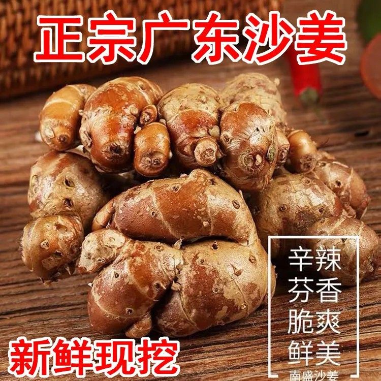 广东沙姜农家新鲜特产包邮批发正宗白切配料姜椰子整箱商用包邮