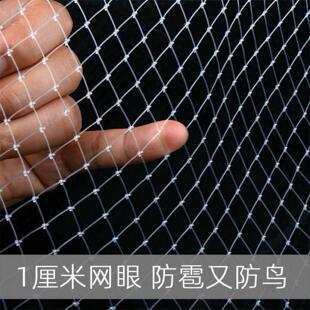 防鸟围网果园防止鸟吃果子果树防护网户外防雹小孔尼龙细网大网罩