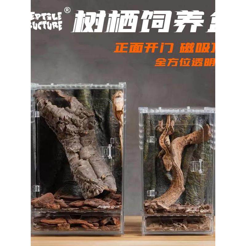 爬虫老爷树蛙亚克力款蜘蛛甲虫蜥蜴饲养寄居蟹睫角守宫树栖爬宠盒