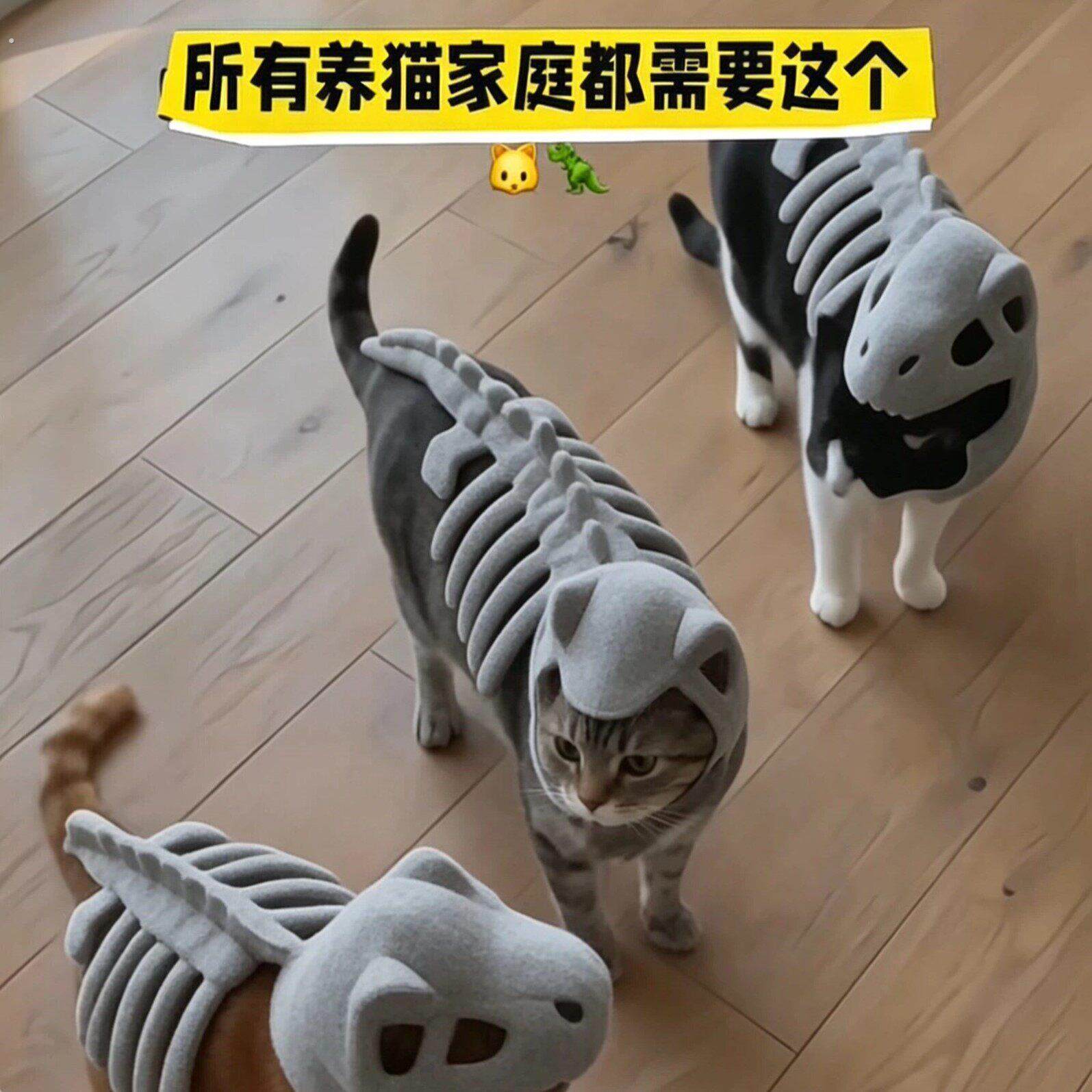 【猫龙~】恐龙骨架宠物衣服创意趣味会发光猫猫面具搞怪宠物头套