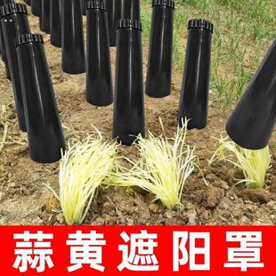 韭黄种植黑罩子家用隔光用套筒韭菜遮光筒塑料罩防晒农业圆柱盖子