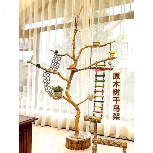 原木树枝树干鸟站架鹦鹉宠物落地式树杈艺术干燥树枝枯木树干龙骨