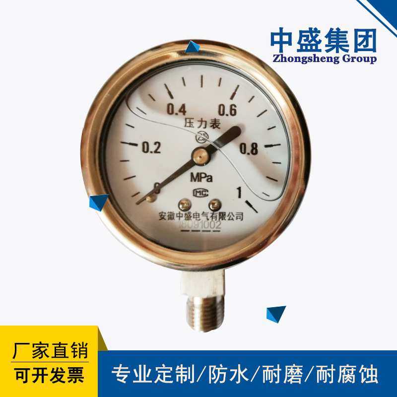 安徽天长仪表中盛仪表铠装热电阻WZPK-238 L1*L2=200*150 SUS304