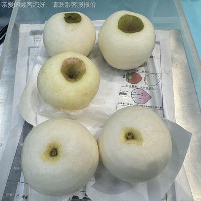 W水果削皮 削皮机OUN品设备 削电动水果削皮机全食自动 苹机果皮