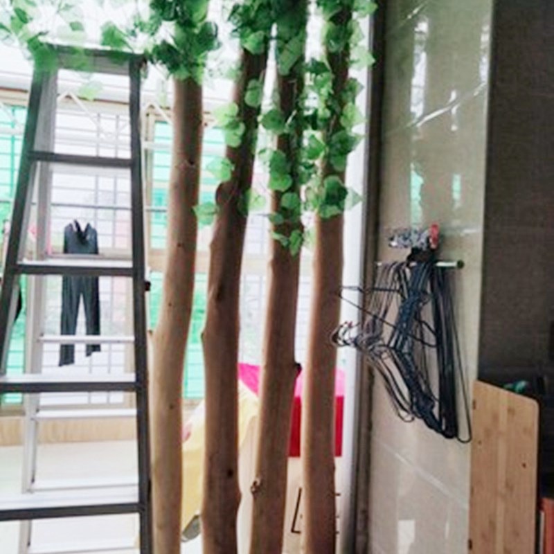 去皮枯树干树枝死树造型树干创意道具原木橱窗隔断屏风树干猫爬架