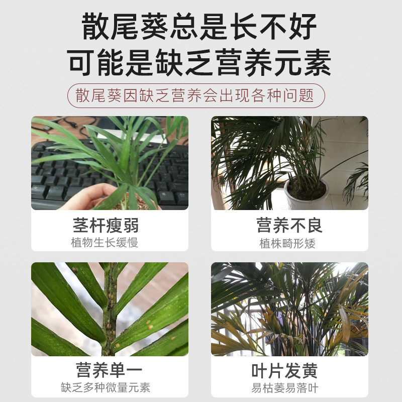 散尾葵专用缓释肥复合肥家用型控释颗粒植物盆栽绿植花卉养花肥料