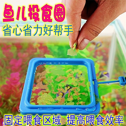 鱼缸喂食器水族箱鱼食投食器喂食圈小型鱼热带孔雀饲料浮力投喂器
