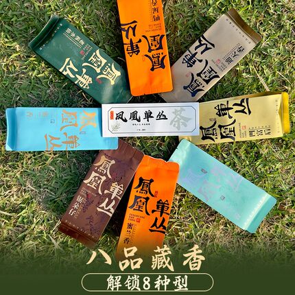 潮州凤凰单枞茶蜜兰香鸭屎香品鉴试喝装凤凰单丛茶礼潮汕伴手礼